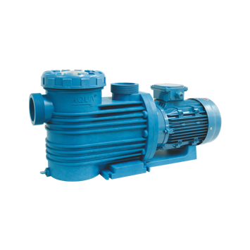 Swimming pool pump