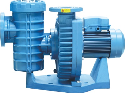 Circulating pump